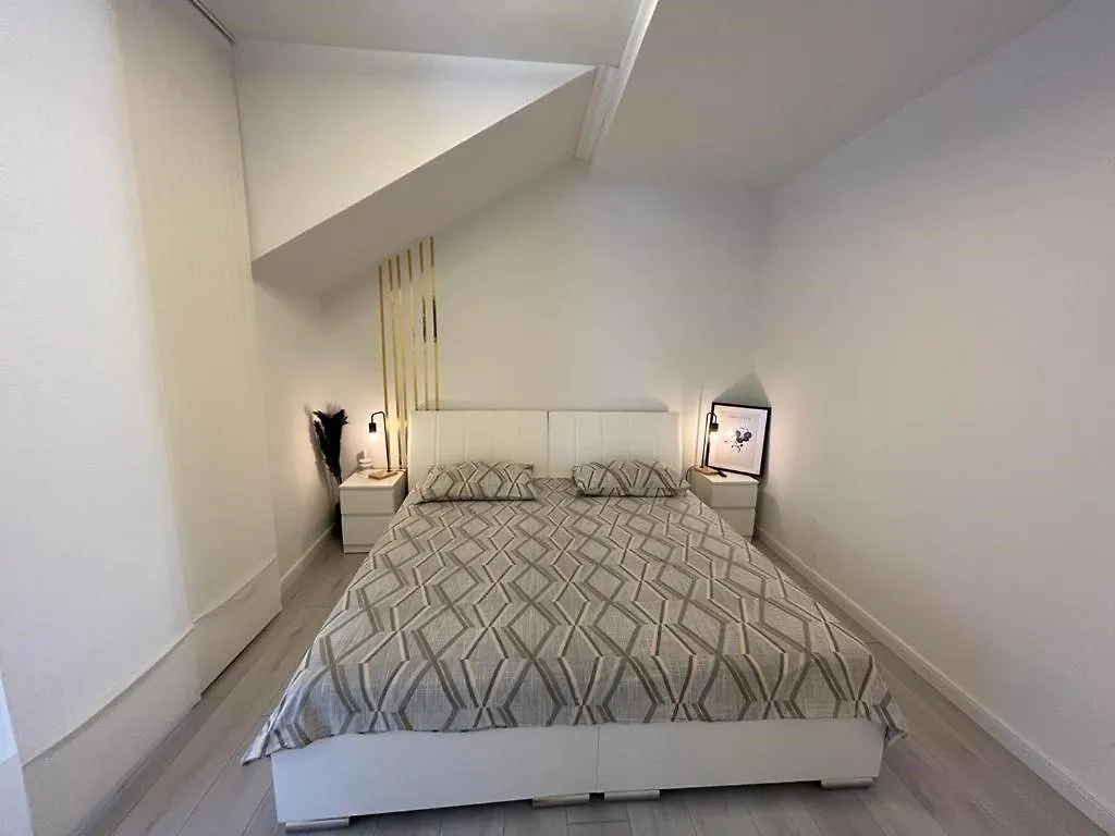 Apartment Teo With Terrace Rovigno